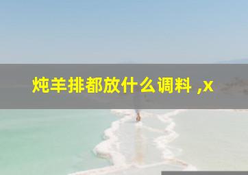 炖羊排都放什么调料 ,x